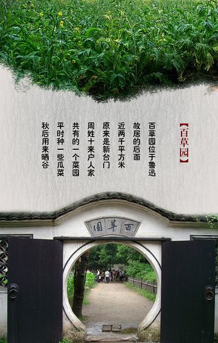 中国风鲁迅故里绍兴旅游介绍海报宣传图psd图